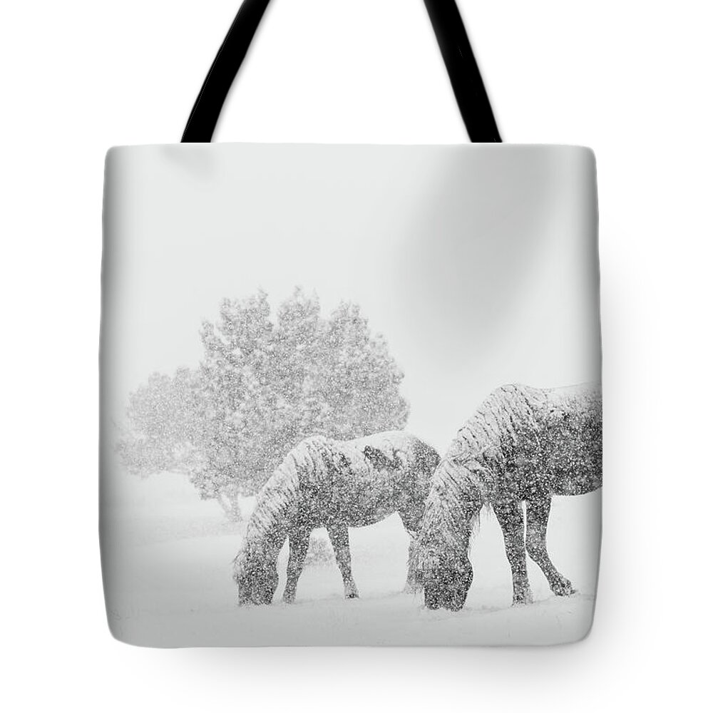 Horse Tote Bag featuring the photograph Storm Grazers by Kent Keller