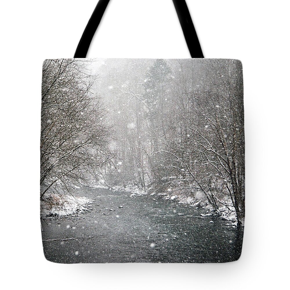 Privacy Tote Bag featuring the photograph Storms Brewing by Lisa Lambert-Shank