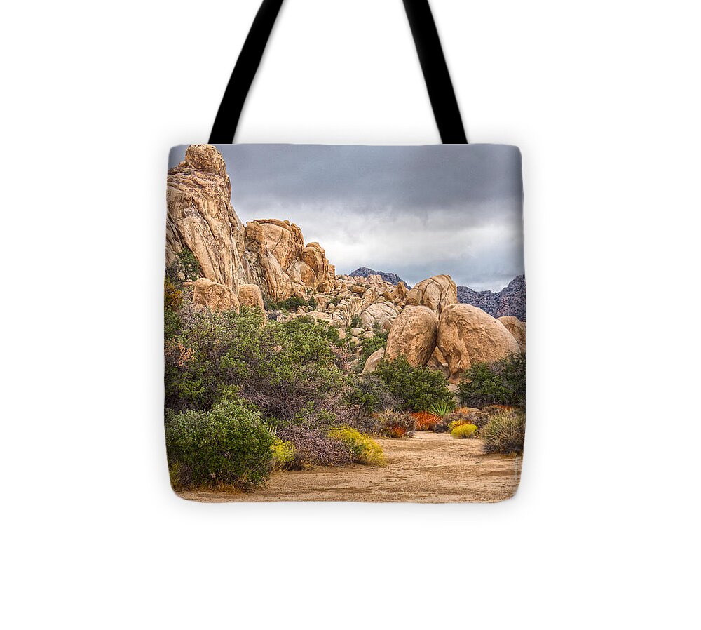 Joshua Tree National Park Tote Bag featuring the photograph Stormy Day in Joshua Tree National Park by Lisa Manifold