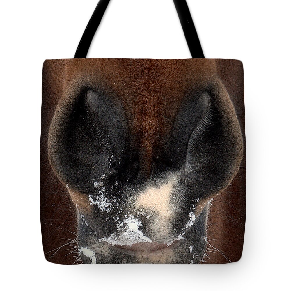 Wild Horse Mustang Mouth Horses Wild Horses Tote Bag featuring the photograph Straight from the... by Dirk Johnson