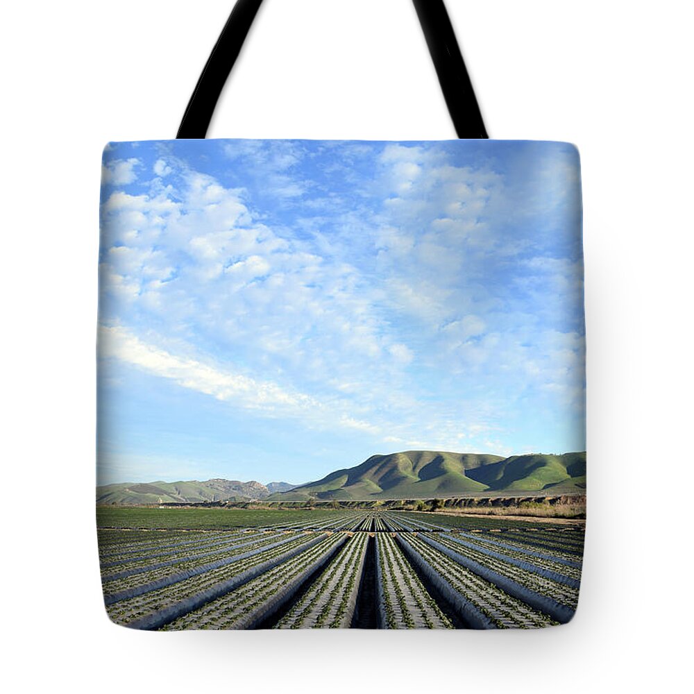 Farming Tote Bag featuring the photograph Strawberry Fields Forever 2 by Floyd Snyder