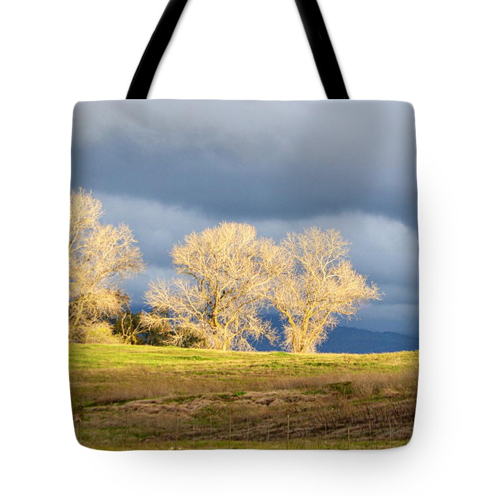 Scenic Tote Bag featuring the photograph Streak of Light by AJ Schibig