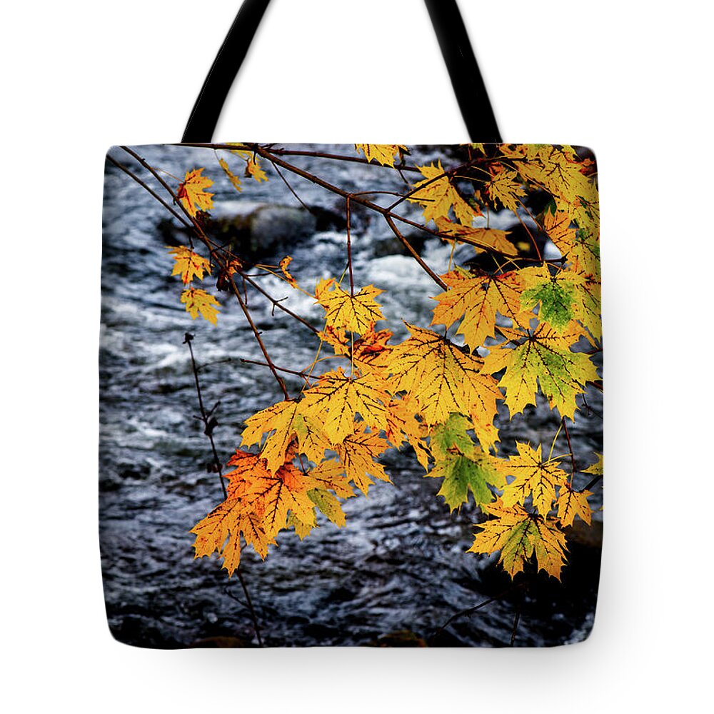 Landscape Tote Bag featuring the photograph Stream in Fall by Joe Shrader