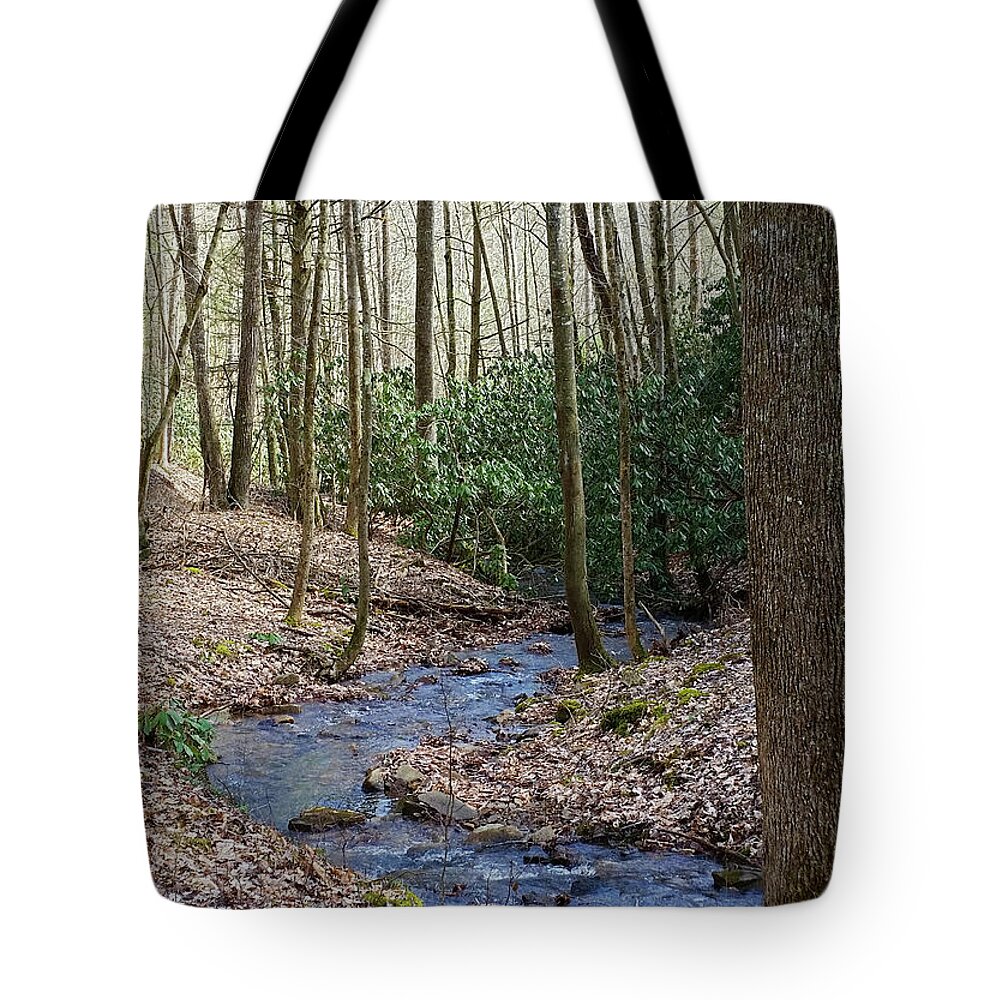 Stream Tote Bag featuring the photograph Stream in the Winter Woods by Denise Romano