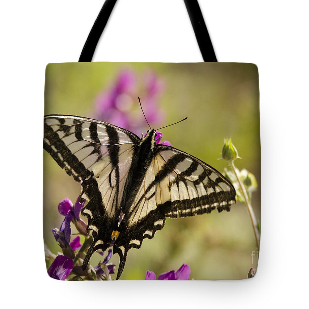 Butterfly Tote Bag featuring the photograph Strength by Kelly Black