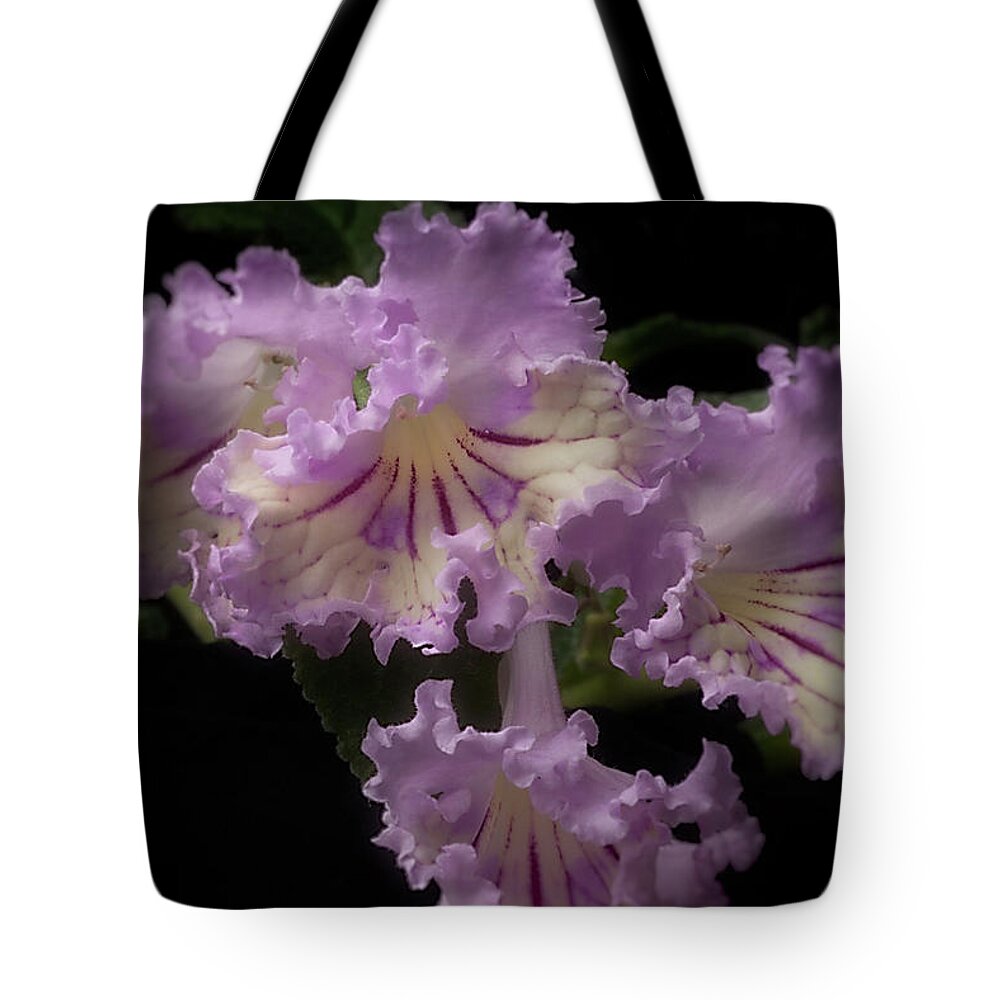 Flower Tote Bag featuring the photograph Streptocarpus 'Renia' by Ann Jacobson