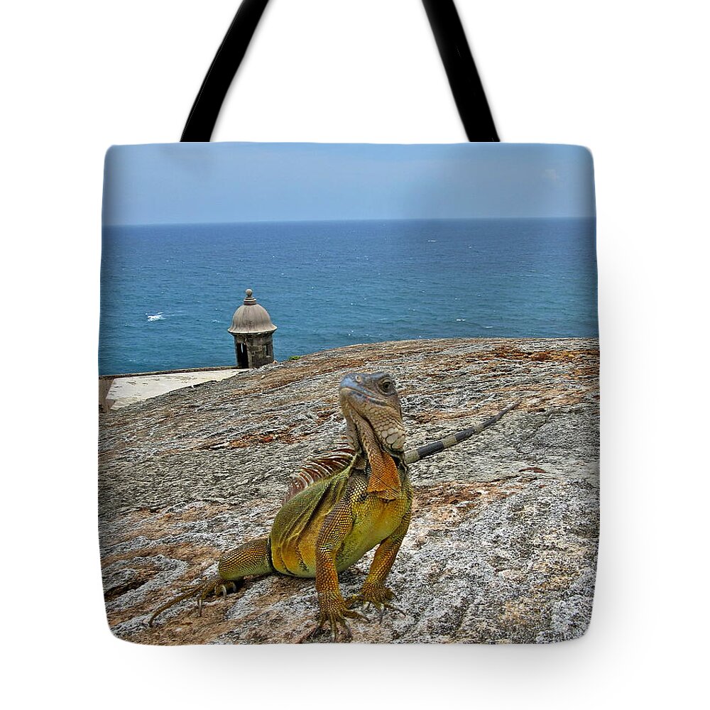 Color Tote Bag featuring the photograph Strike A Pose by Maritza Melendez