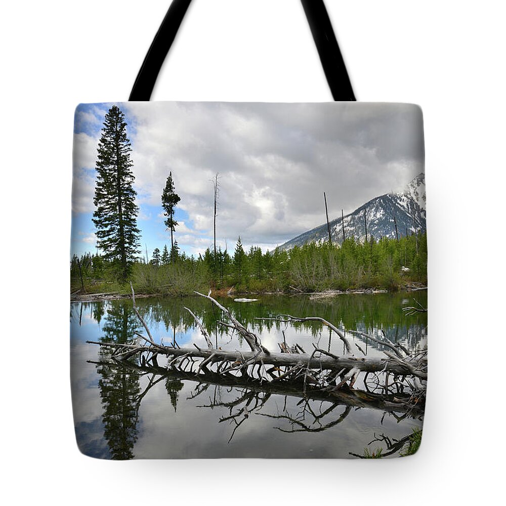 Grand Teton National Park Tote Bag featuring the photograph String Lake in Grand Tetons by Ray Mathis
