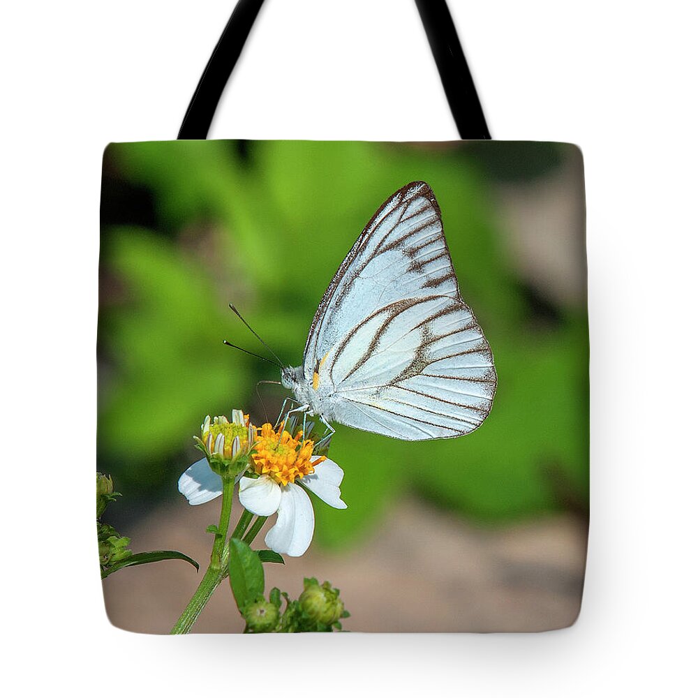 Nature Tote Bag featuring the photograph Striped Albatross Butterfly DTHN0208 by Gerry Gantt