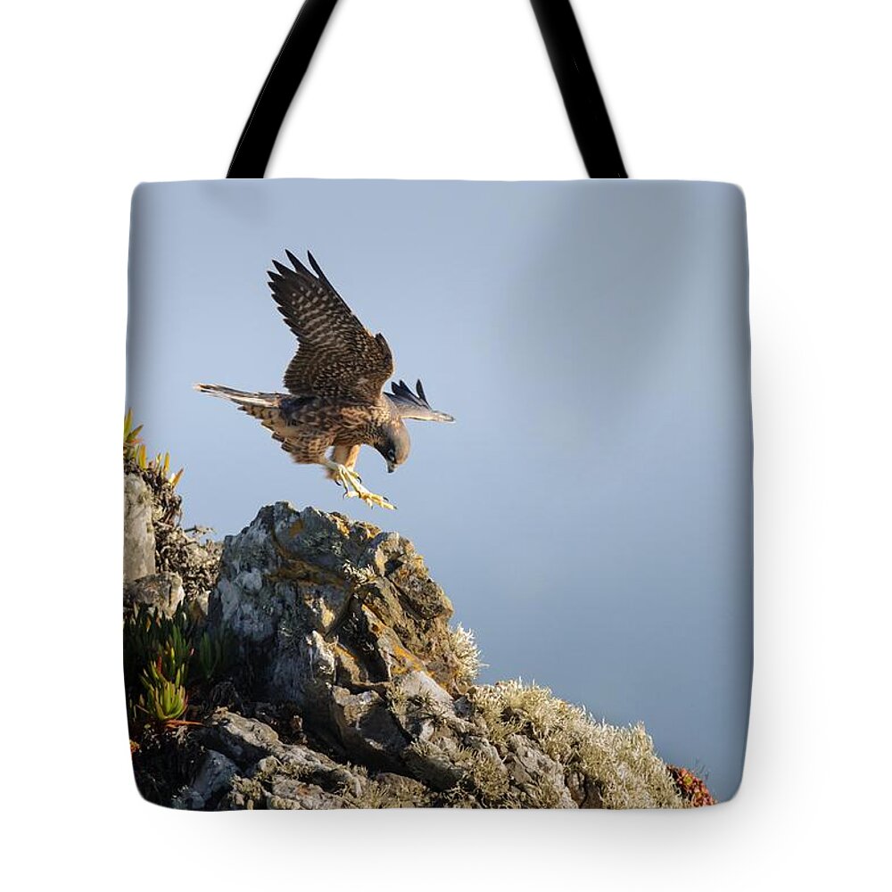  Tote Bag featuring the photograph Strive to Improve by Sherry Clark
