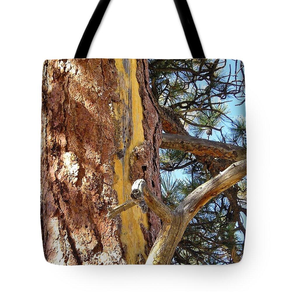 Tree Tote Bag featuring the photograph Strong Pine by Kathryn Alexander MA