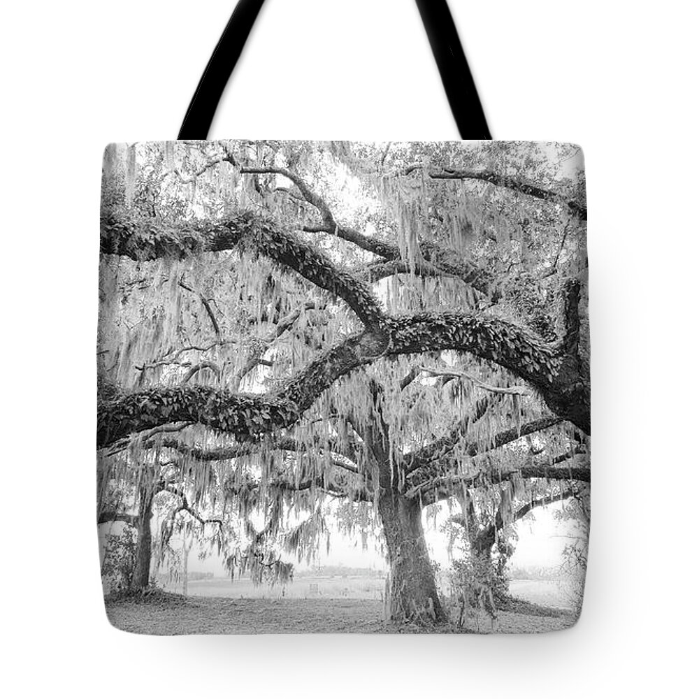 Abstracts Tote Bag featuring the photograph Structure by Ray Silva