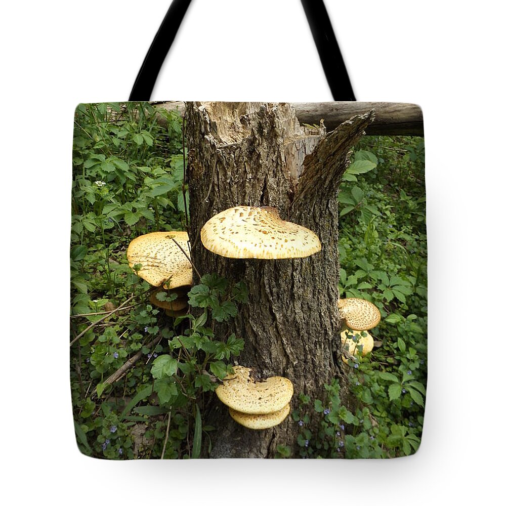 Nature Tote Bag featuring the photograph Stump with Mushrooms by Erick Schmidt