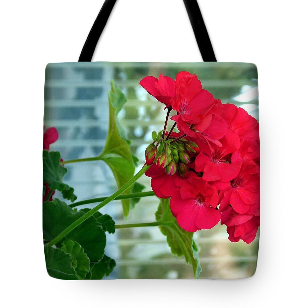 Stunning Red Geranium Tote Bag featuring the photograph Stunning Red Geranium by Will Borden