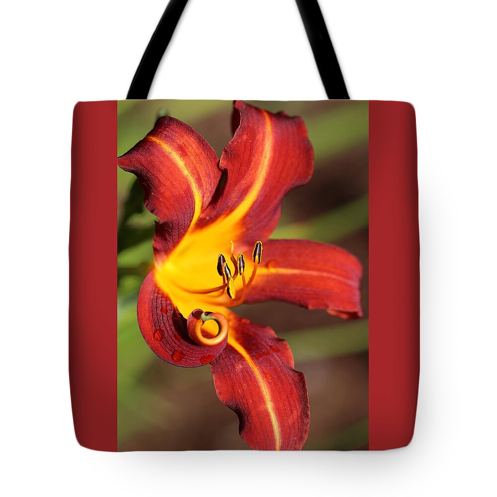 Daylily Curl Tote Bag featuring the photograph Stylistic Daylily by Tammy Pool