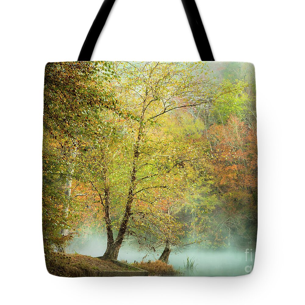Forest Tote Bag featuring the photograph Sublime Mist by Iris Greenwell