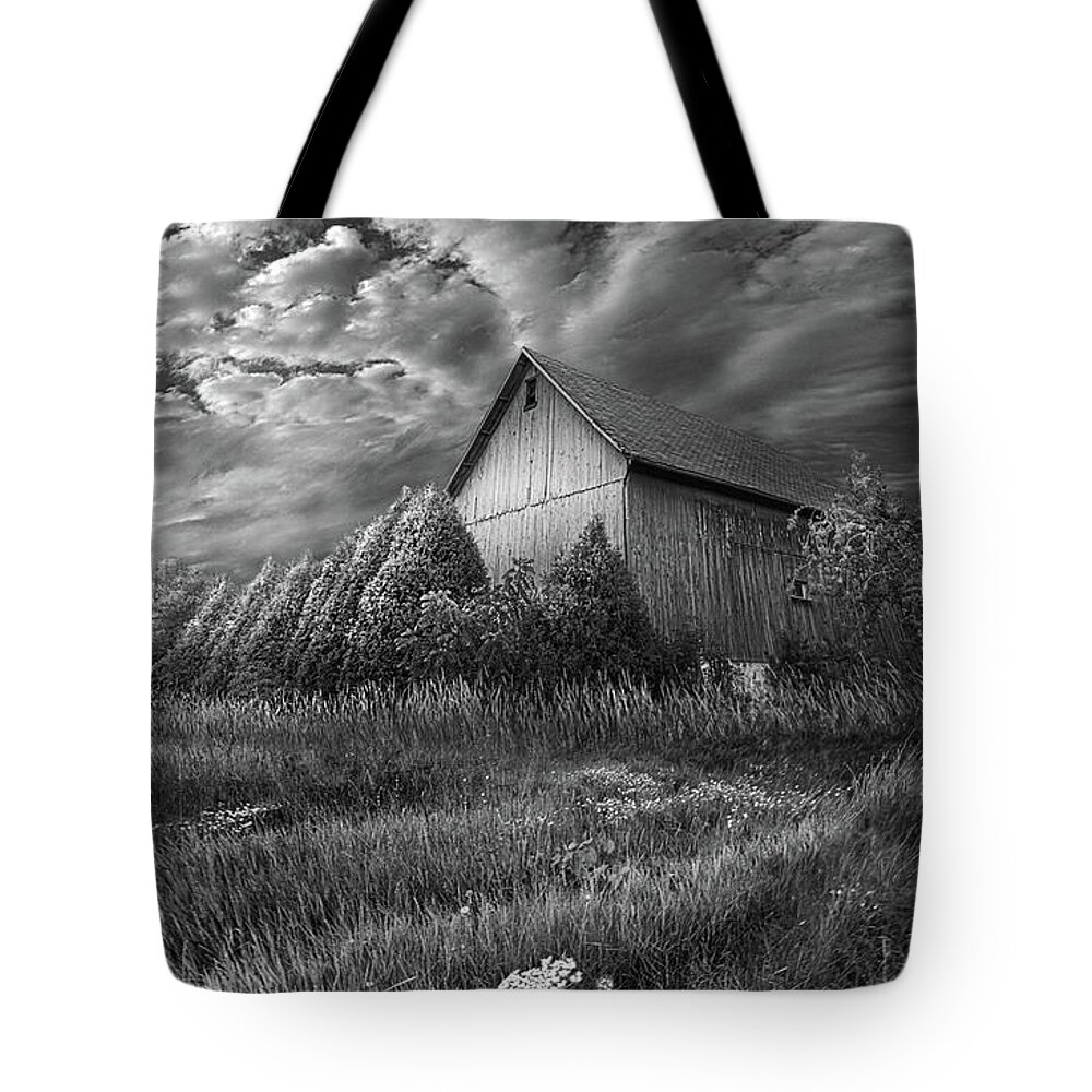 Spring Tote Bag featuring the photograph Sublimity by Phil Koch