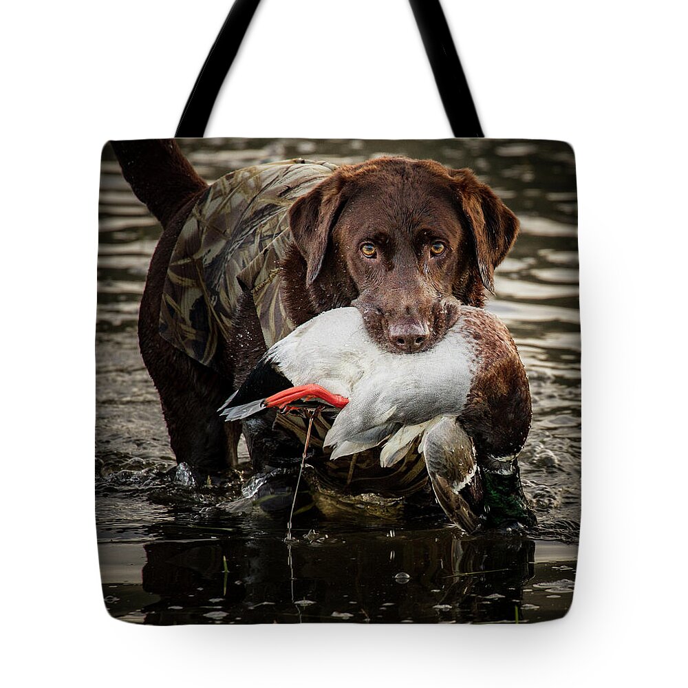 Jean Noren Tote Bag featuring the photograph Successful Retrieve by Jean Noren