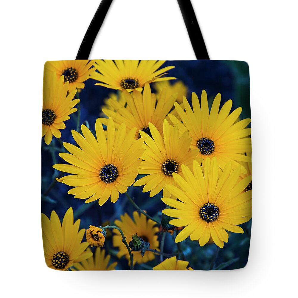 Succulent Tote Bag featuring the photograph Succulent Karoo blooming - 5 by Claudio Maioli
