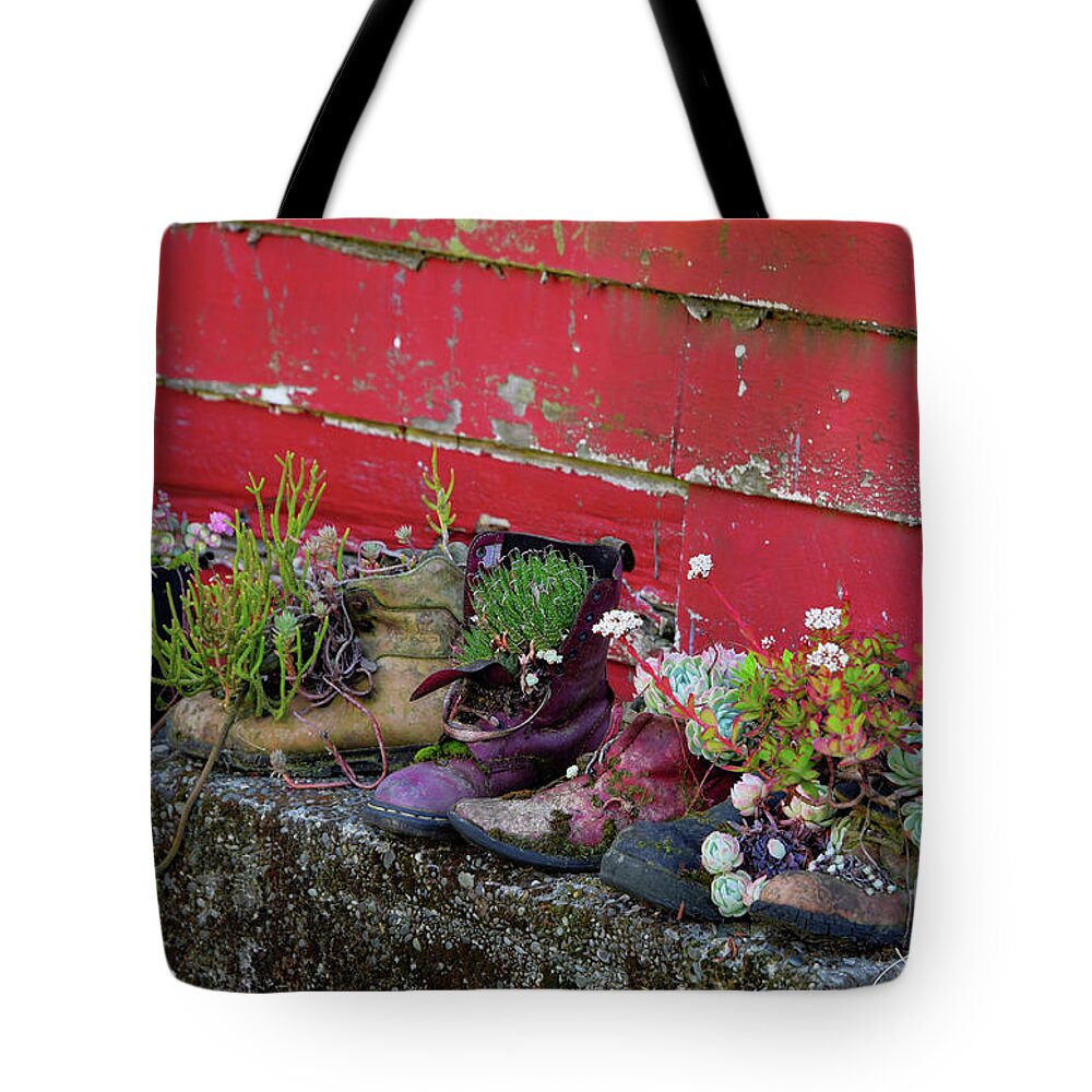 New Zealand Tote Bag featuring the photograph Succulent Kiwi Shoes by Joanne West