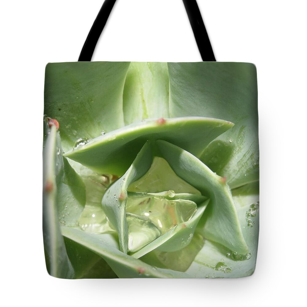 Beautiful Tote Bag featuring the photograph Succulent Macro by Amanda S Leek