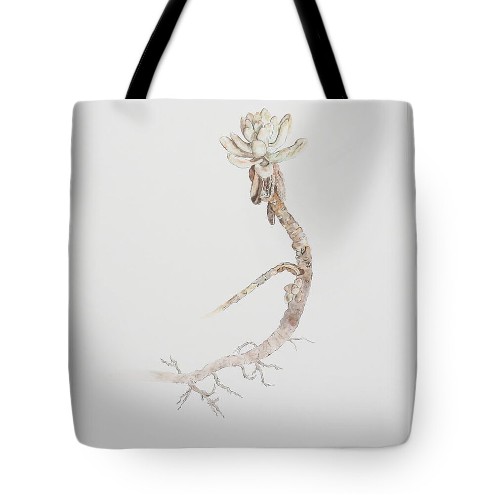 Succulent Tote Bag featuring the painting Succulent by Michelle Miron-Rebbe