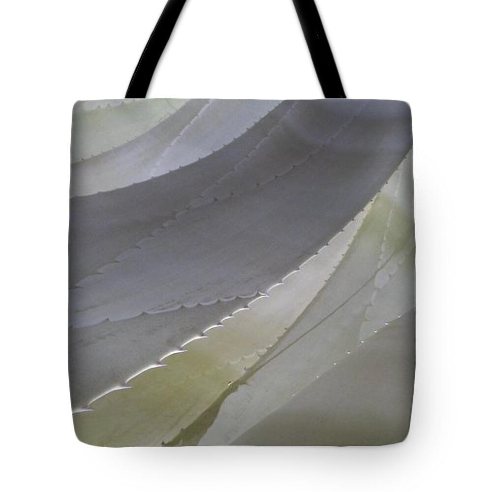 Cool Color Shape Flowing Succulent Tote Bag featuring the photograph Succulent Series 1-1 by J Doyne Miller
