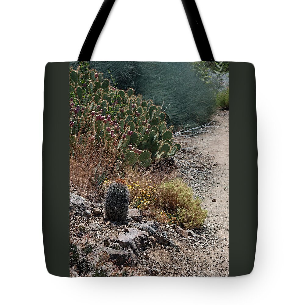 Photograph Tote Bag featuring the photograph Succulent Series I by Suzanne Gaff