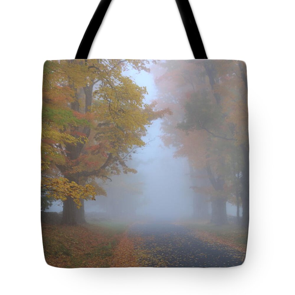 Sugar Maple Tote Bag featuring the photograph Sugar Maples on a Misty Country Road by John Burk