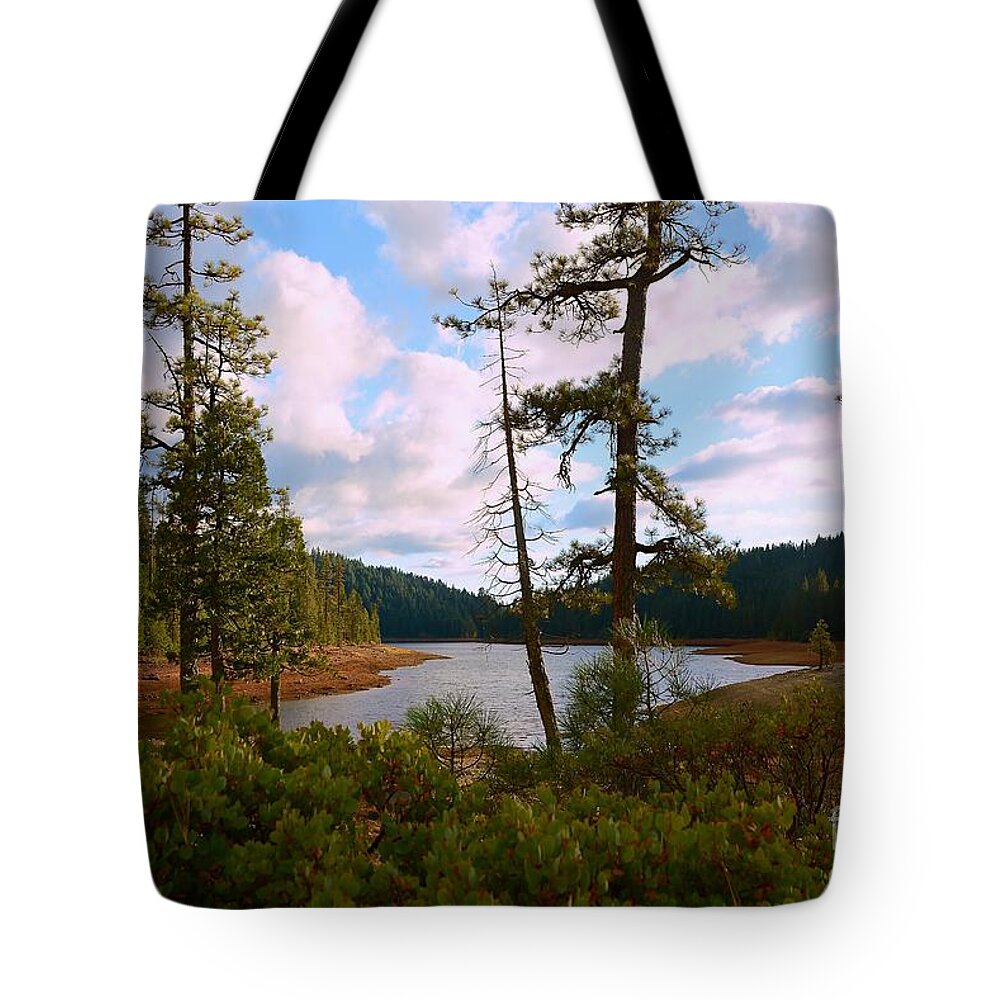 Sugar Pine Lake Trail Tote Bag featuring the photograph Sugar Pine Lake Trail by Patrick Witz