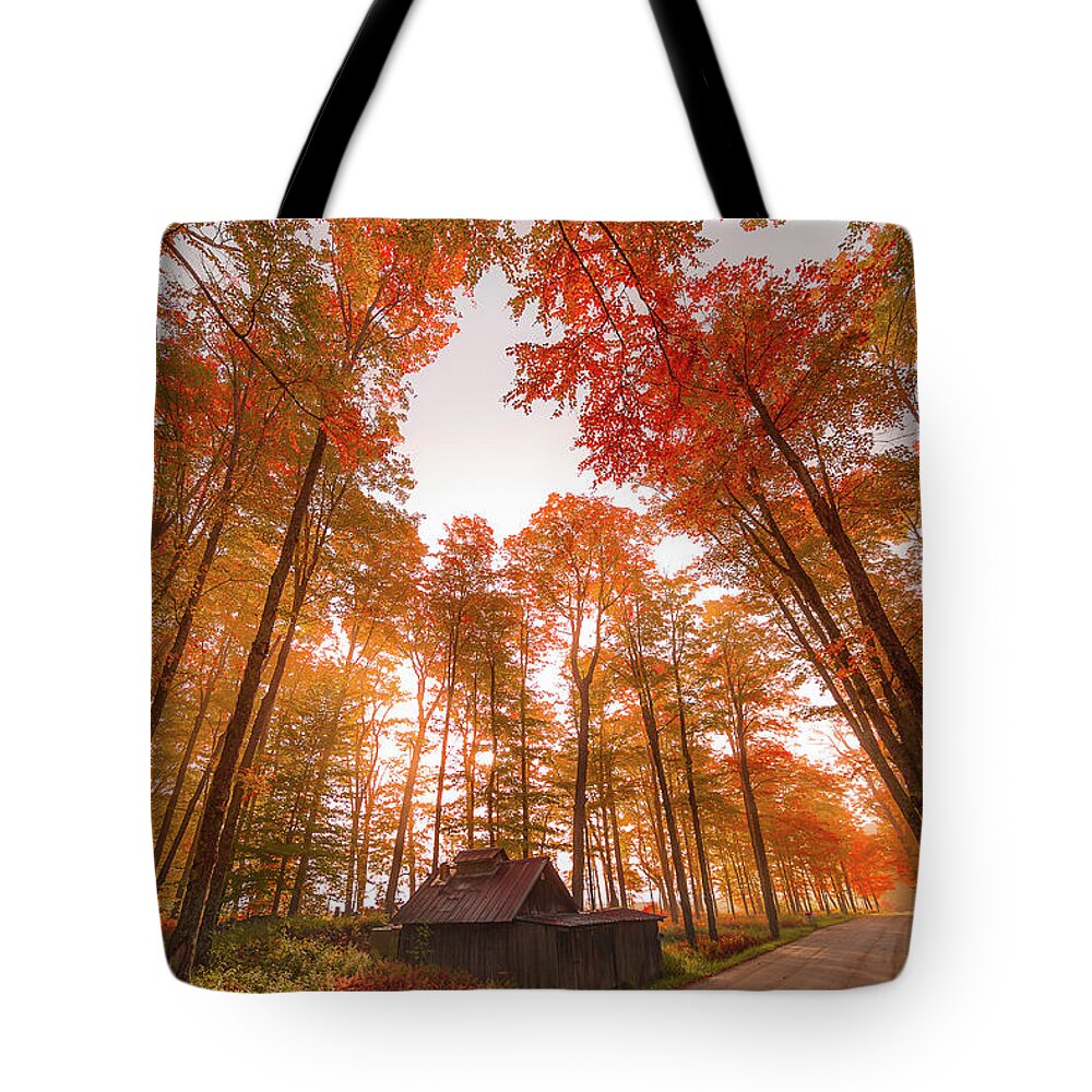 Sugarhouse Tote Bag featuring the photograph Sugarhouse Rd on Foggy Morning by Tim Kirchoff