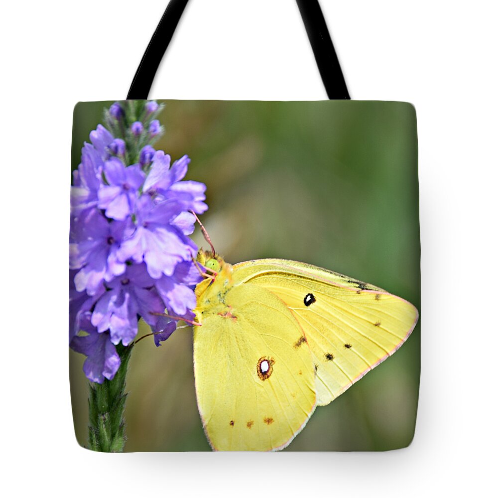 Sulfur Butterfly Tote Bag featuring the photograph Sulfur Butterfly by Kathy M Krause