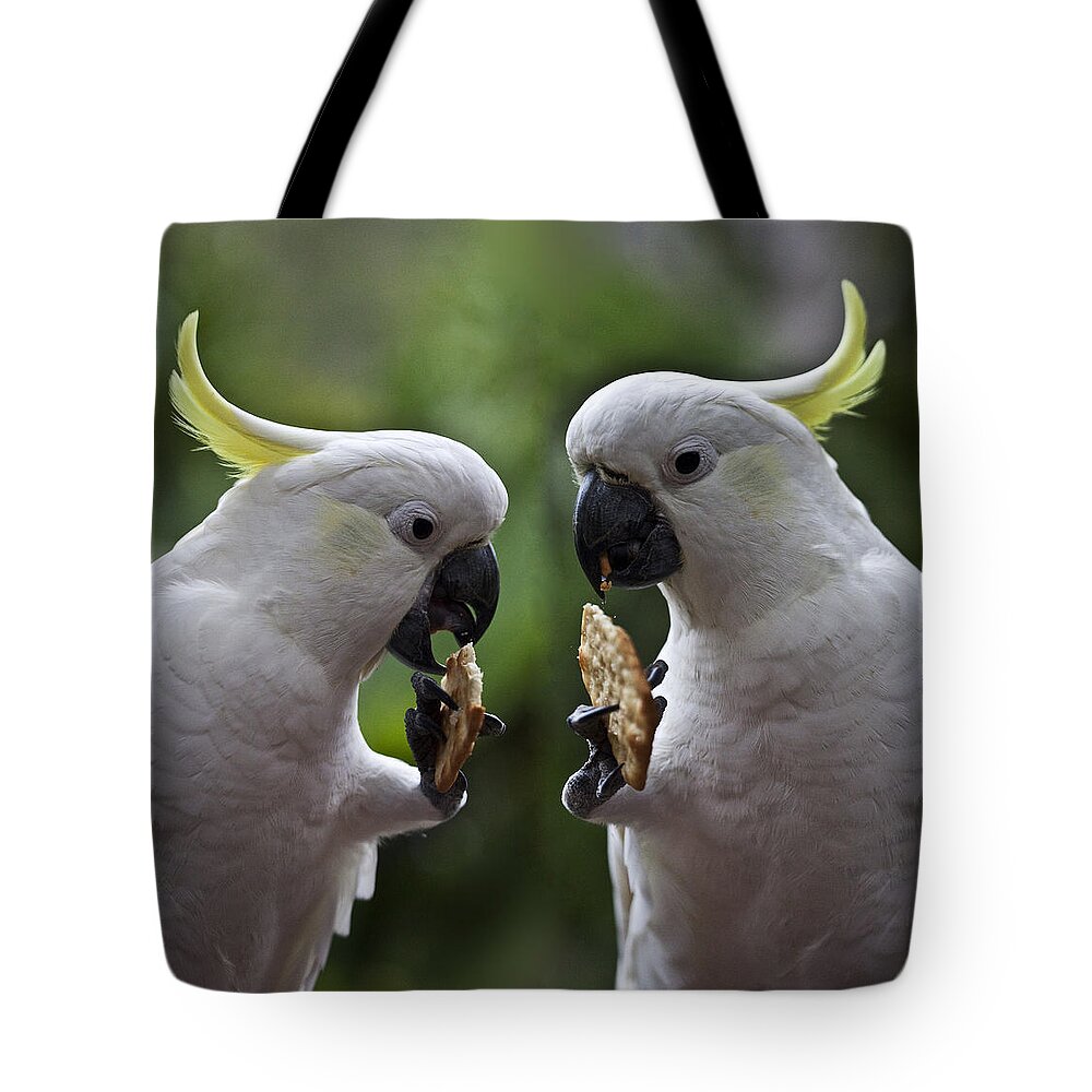 Sulphur Crested Cockatoo Tote Bag featuring the photograph Sulphur crested cockatoo pair by Sheila Smart Fine Art Photography