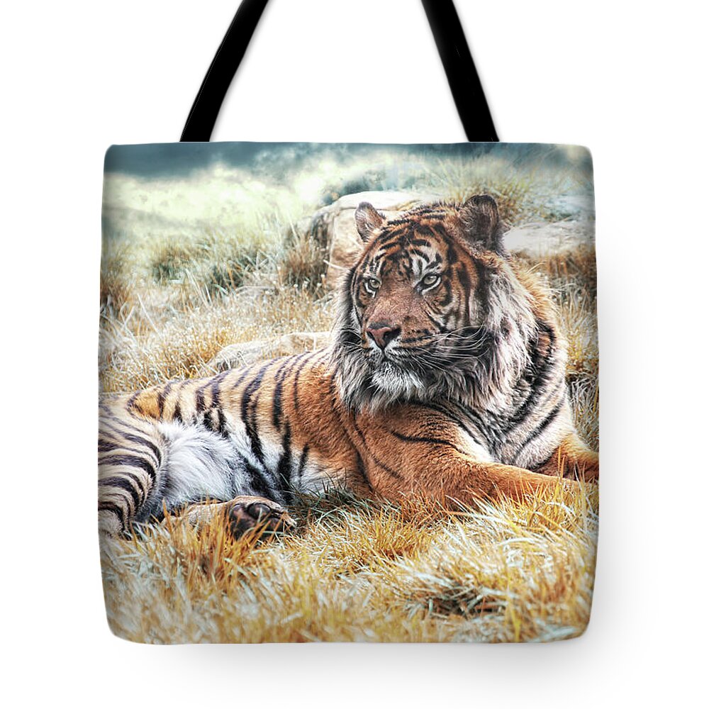 Animals Tote Bag featuring the photograph Sumatran Tiger by Joachim G Pinkawa