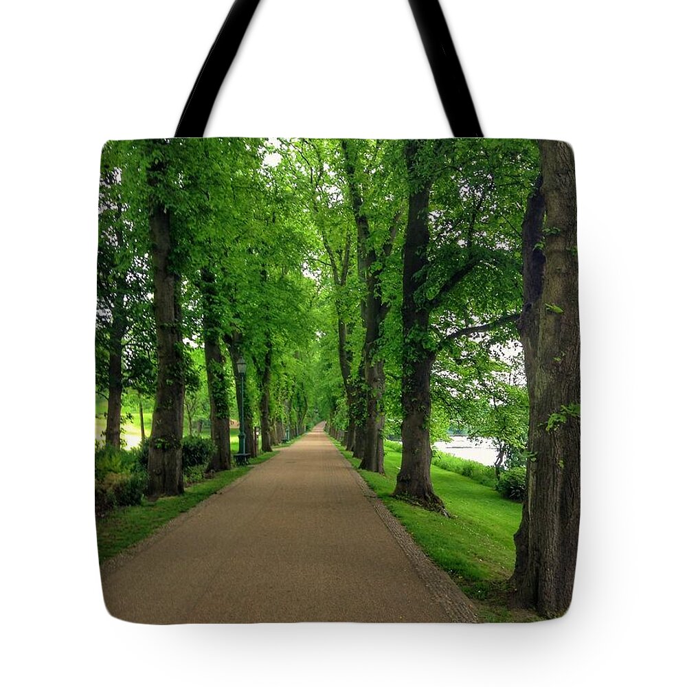 Lime Trees Tote Bag featuring the photograph Summer at The Avenue of Limes by Joan-Violet Stretch
