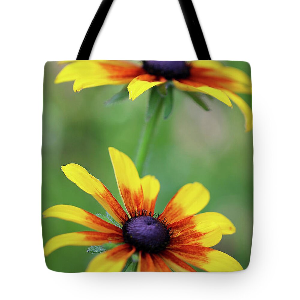 Flowers Tote Bag featuring the photograph Summer blooms by Vanessa Thomas