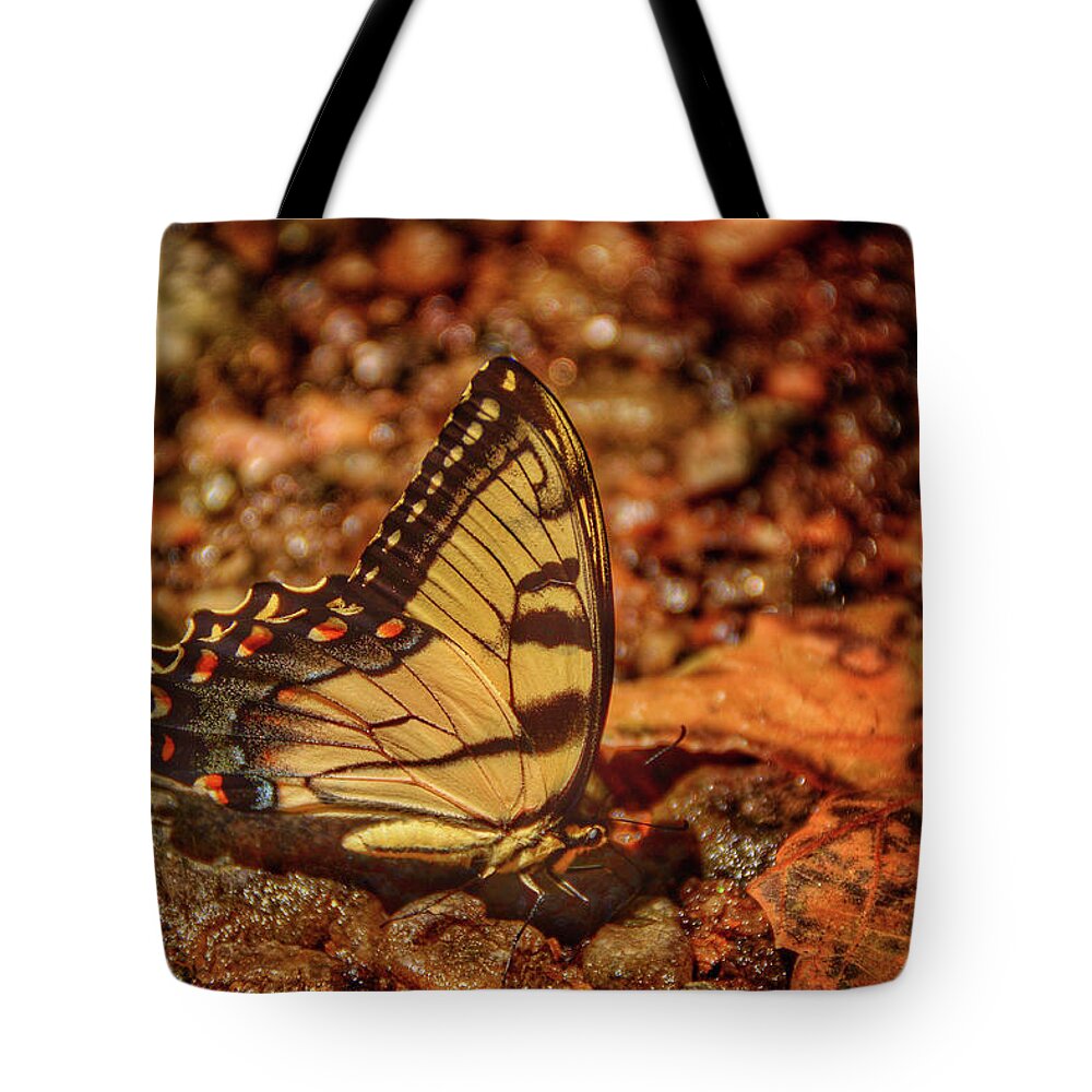 Bumblebee Tote Bag featuring the photograph Summer Breeze IV by Kathi Isserman