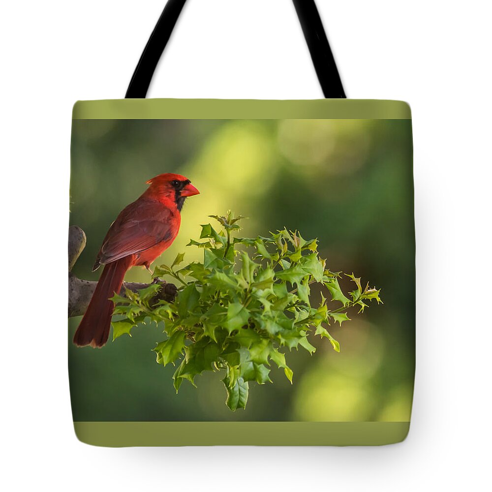 Terry Deluco Tote Bag featuring the photograph Summer Cardinal New Jersey by Terry DeLuco