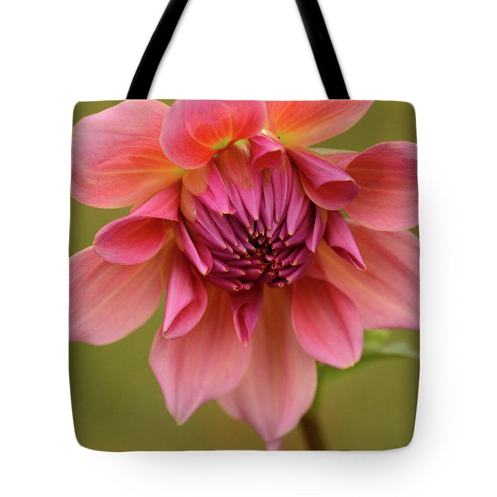 Pink Tote Bag featuring the photograph Summer Delight by Wanda Brandon