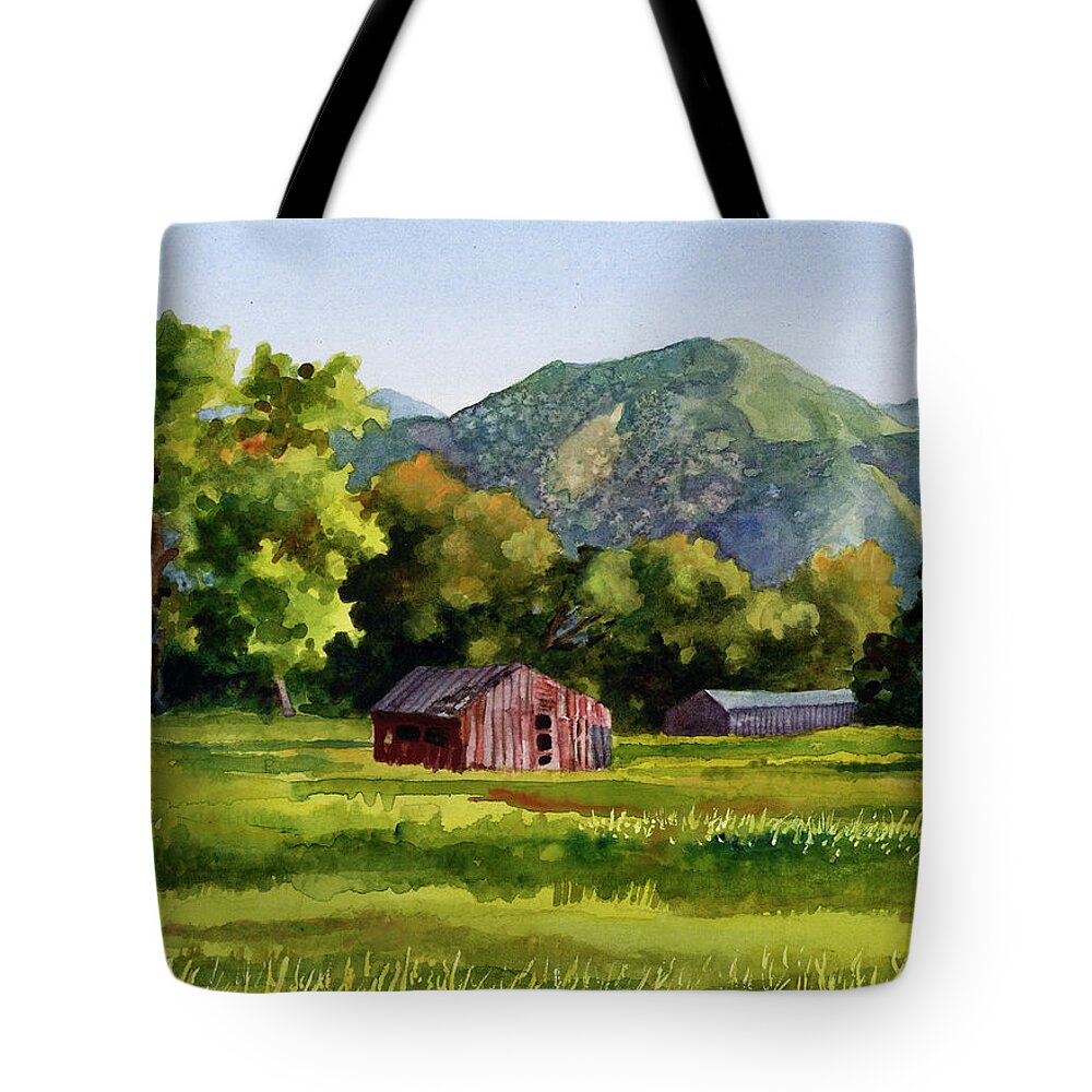 Barn Painting Tote Bag featuring the painting Summer Evening by Anne Gifford