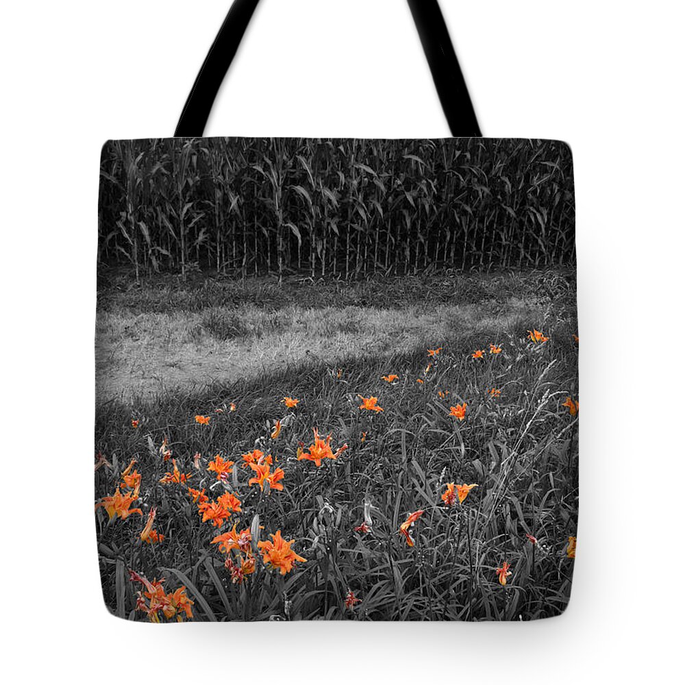 Landscape Tote Bag featuring the photograph Summer Fields by Dylan Punke