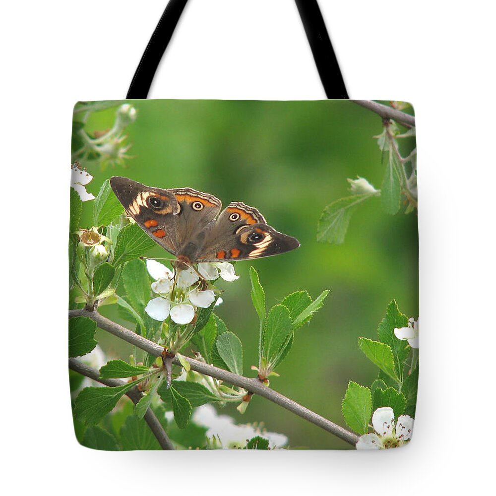 Nature Tote Bag featuring the photograph Summer Haw in Spring by Peggy Urban