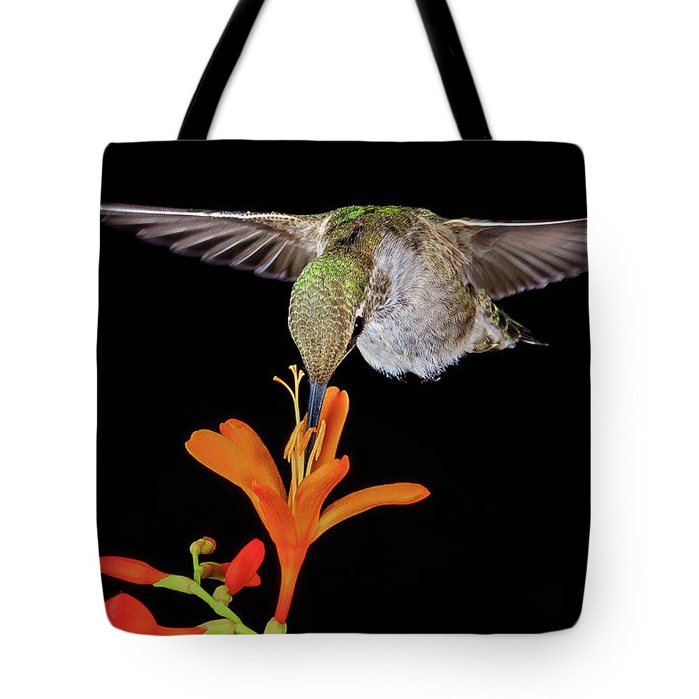 Animal Tote Bag featuring the photograph Summer Hummer by Briand Sanderson