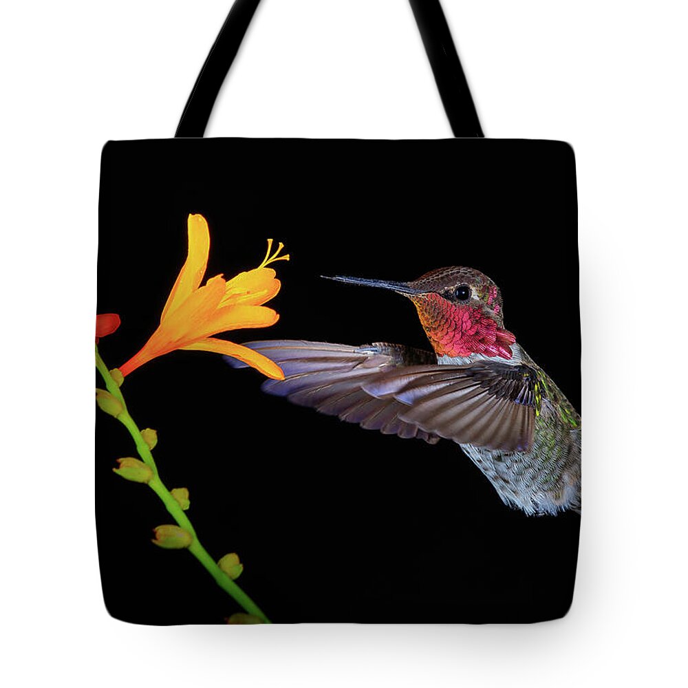 Animal Tote Bag featuring the photograph Summer Loving by Briand Sanderson