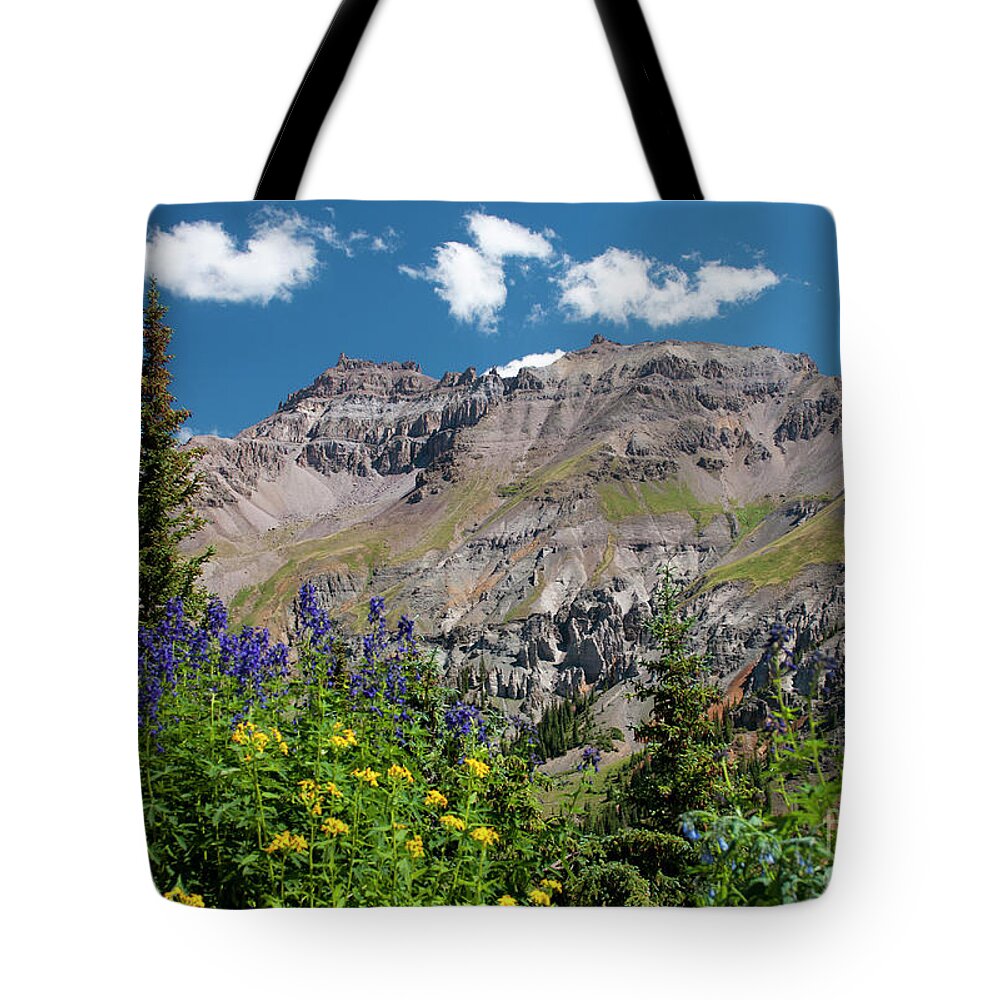 Colorado Tote Bag featuring the photograph Summer Mountain by Julia McHugh