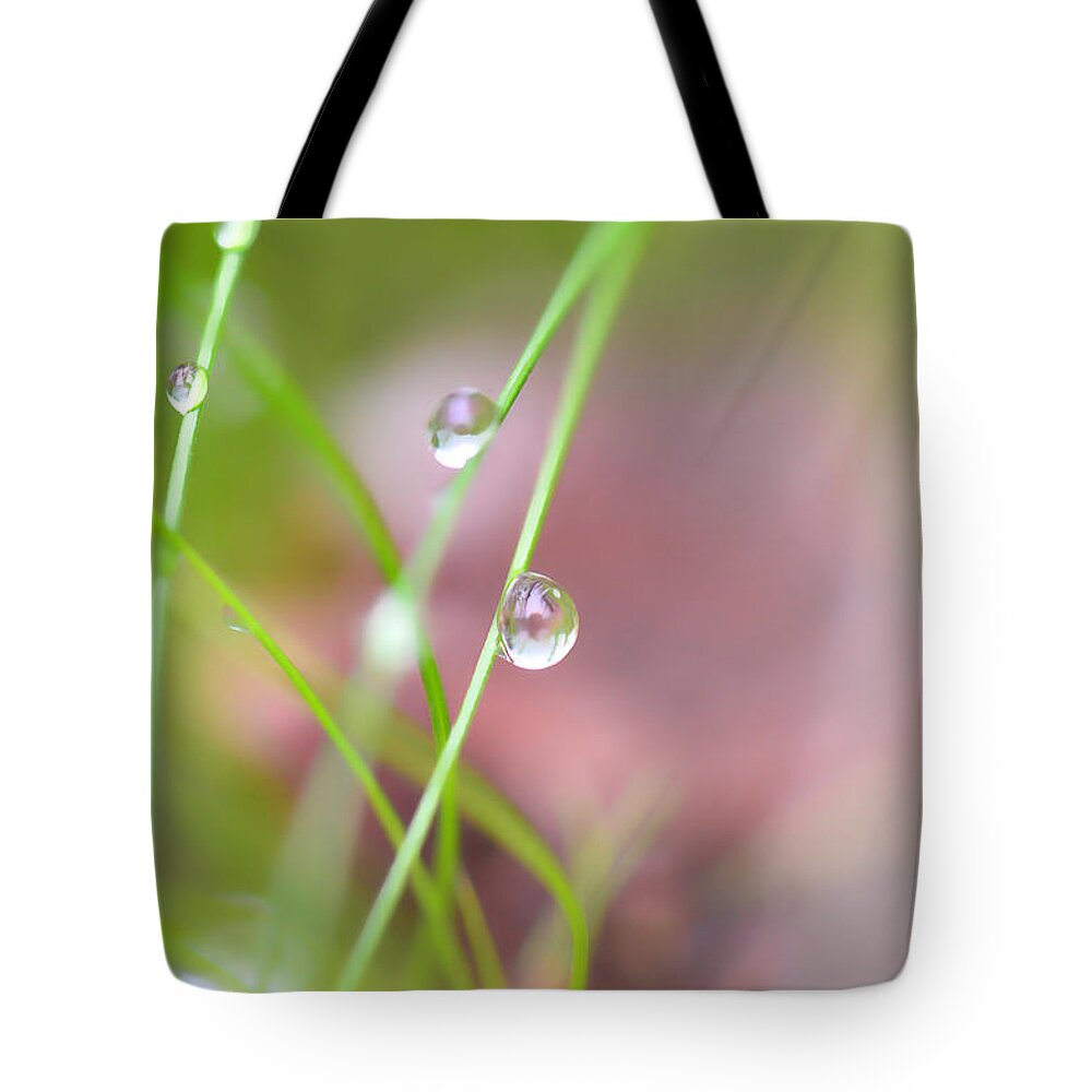 Dew Tote Bag featuring the photograph Summer Of Dreams by Donna Blackhall
