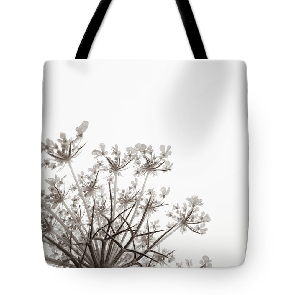Queen Anne's Lace Tote Bag featuring the photograph Summer Snow II by Holly Ross
