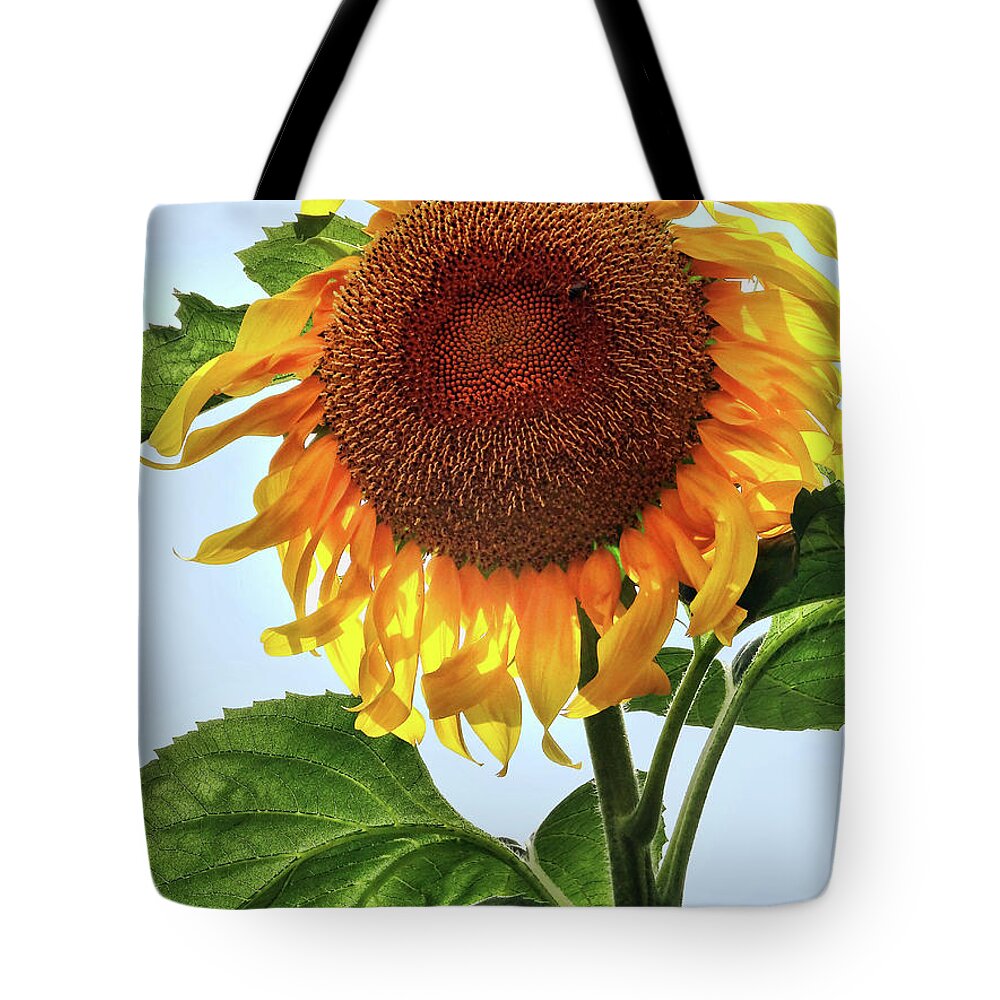 Floral Tote Bag featuring the photograph Summer sunflower by Mikki Cucuzzo
