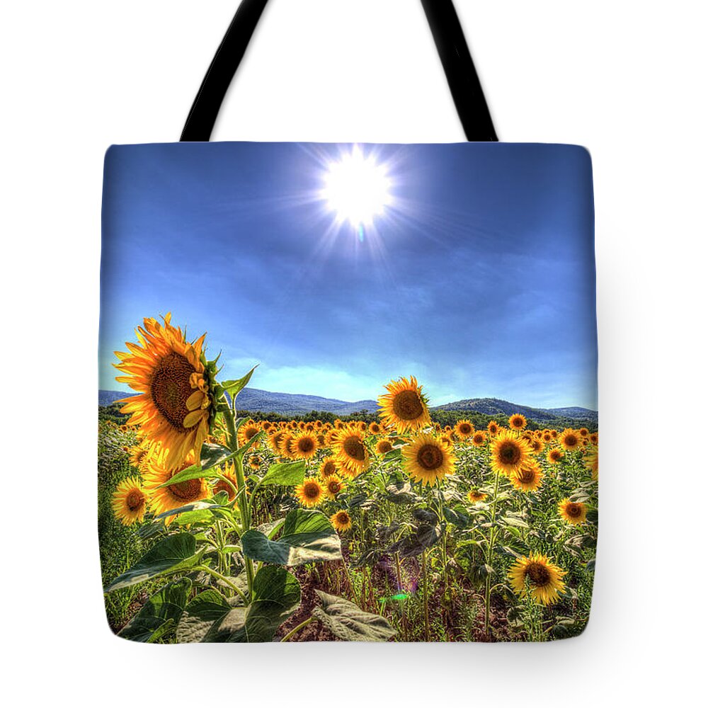 Sunflowers Tote Bag featuring the photograph Summer Sunflowers by David Pyatt