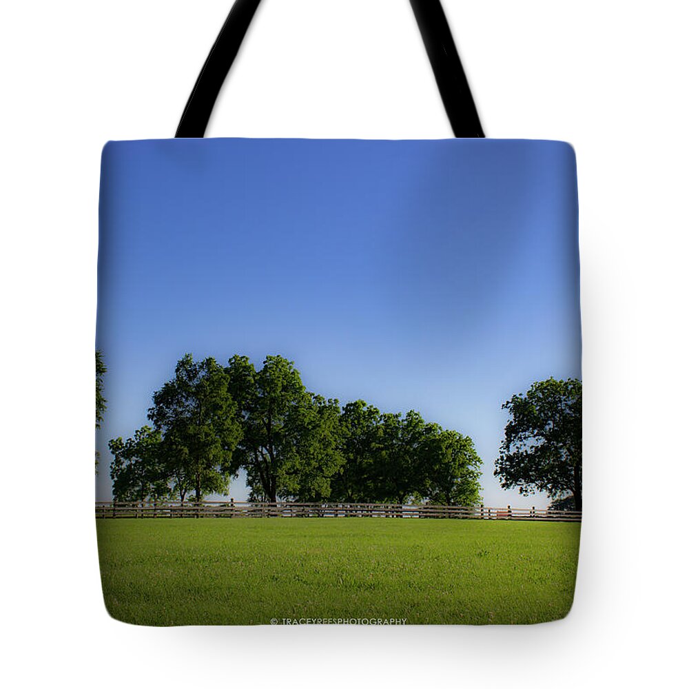Landscape Tote Bag featuring the photograph Summer Trees by Tracey Rees